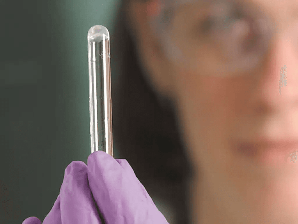 LAL Testing Process